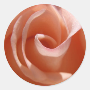 Rose Stickers