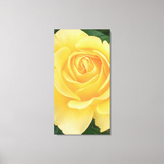 Rose Stretched Canvas Print