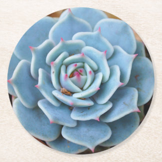 Rose Succulent Round Coaster