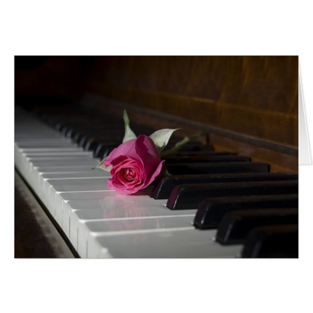 Rose sur piano (Devant horizontal)