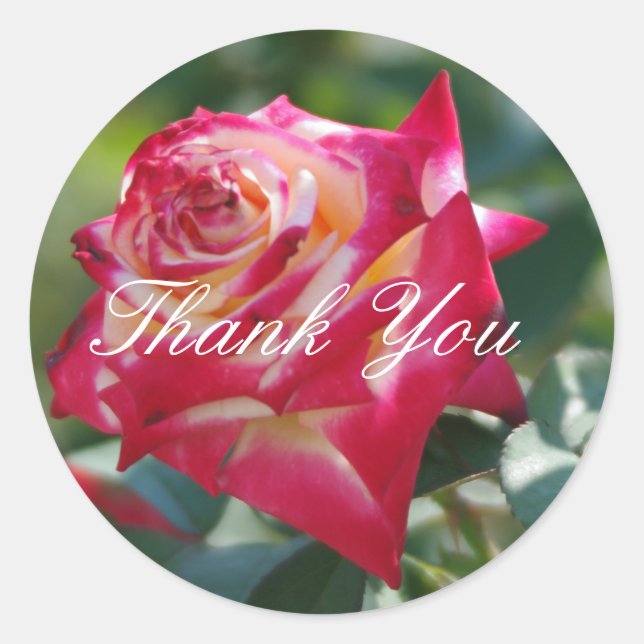 Rose Thank You Classic Round Sticker (Front)