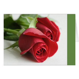 Rose tout le long
