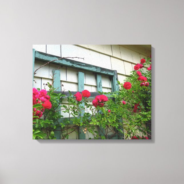 Rose Trellis - Martha's Vineyard Canvas Print (Front)