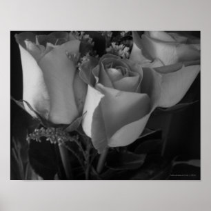 Rose Trio [2] Poster