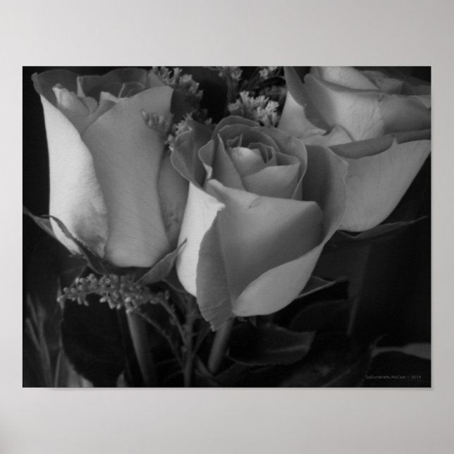 Rose Trio [2] Poster (Front)