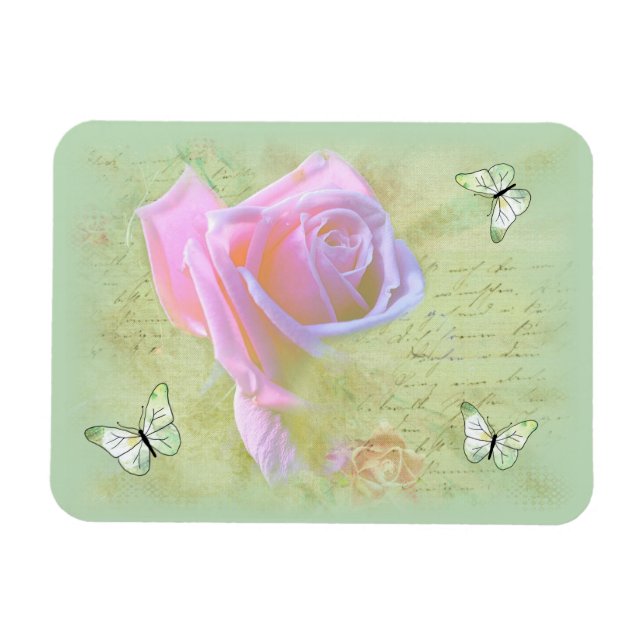 Rose und Schmetterlinge Magnet (Horizontal)