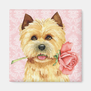 Rose Valentine Cairn Terrier Magnet