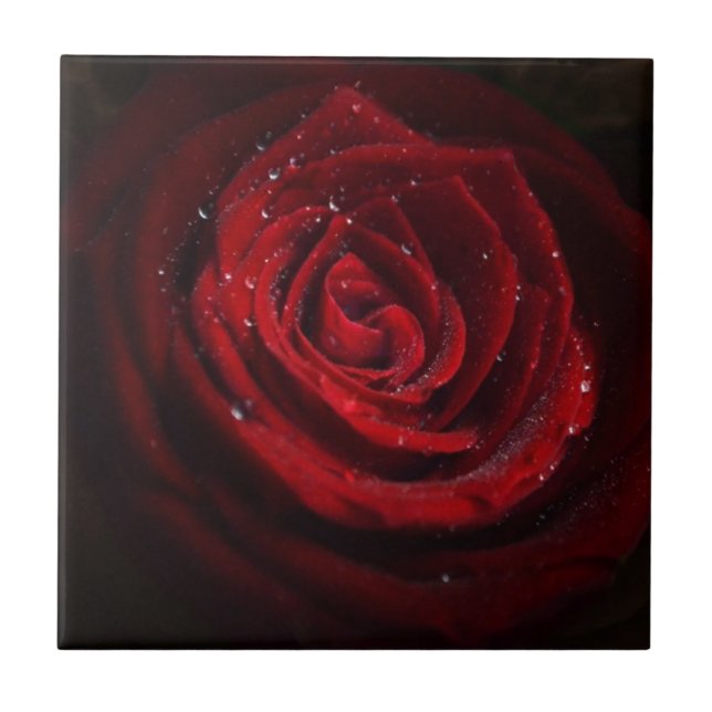 Rose Vines Heart Pattern Flower Peace Love Destiny Tile (Front)