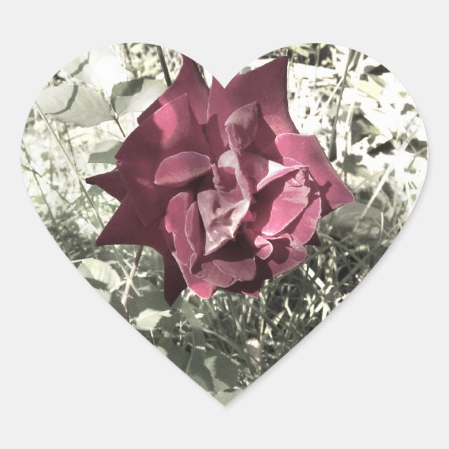 Rose Vintage Colour Heart Sticker (Front)