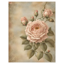 Rose vintage design scrapbook et papier artisanal