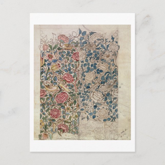 'Rose' wallpaper design (pencil and w/c on paper) Postcard (Front)