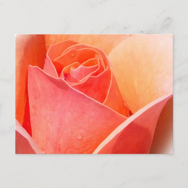 Rose Watercolor Effect Floral Postcard (Front)
