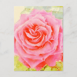 Rose Watercolor Postcard