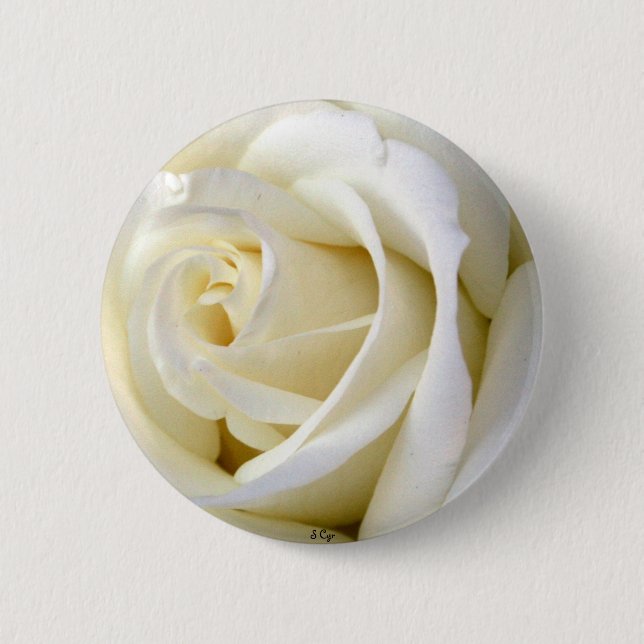 Rose White 2 Inch Round Button (Front)