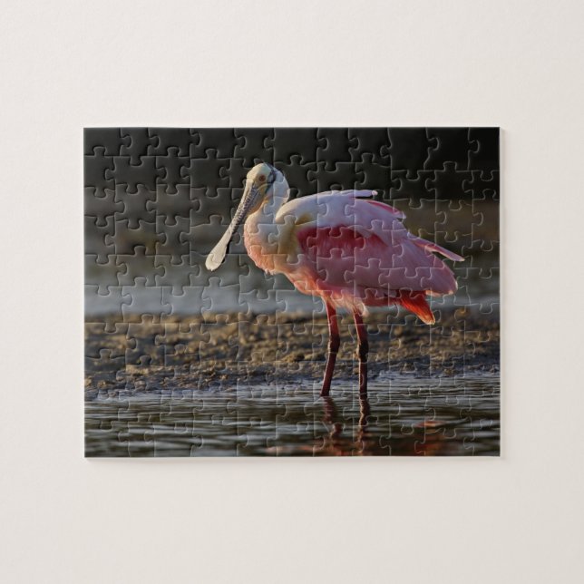 Roseate Spoonbill, Ajaia ajaja, Ding Darling Jigsaw Puzzle (Horizontal)