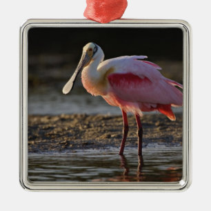 Roseate Spoonbill, Ajaia ajaja, Ding Darling Metal Ornament