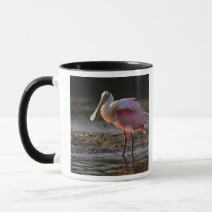 Roseate Spoonbill, Ajaia ajaja, Ding Darling Mug