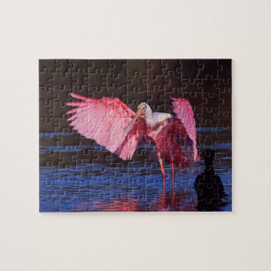 Roseate Spoonbill (Ajaia ajaja) with Cormorant Jigsaw Puzzle