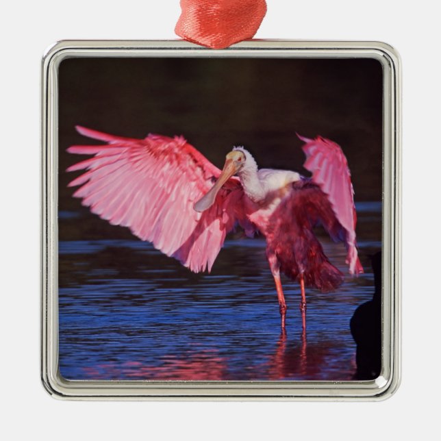 Roseate Spoonbill (Ajaia ajaja) with Cormorant Metal Ornament (Front)