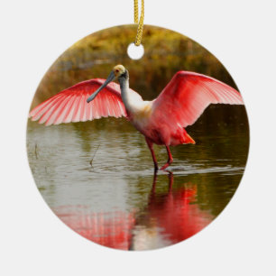 roseate spoonbill and reflection ceramic ornament