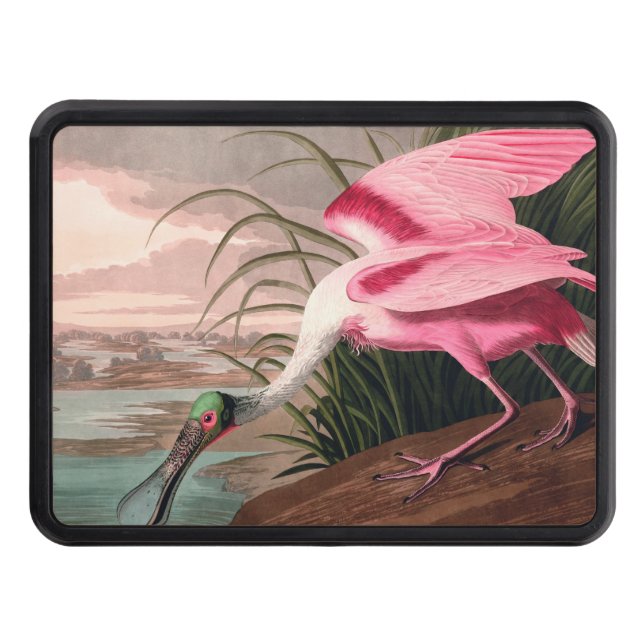 Roseate Spoonbill Audubon Bird Wildlife Trailer Hitch Cover (Front)