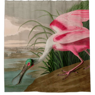Roseate Spoonbill Birds of America Audubon Print