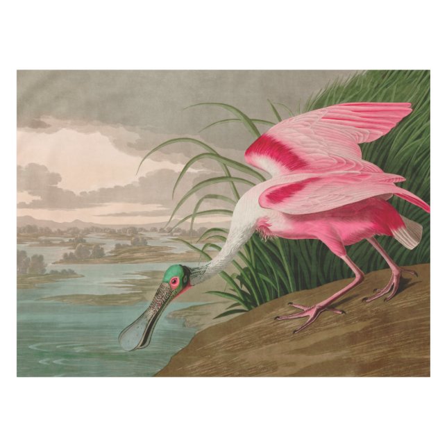 Roseate Spoonbill Birds of America Audubon Print Tablecloth (Front (Horizontal))