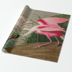 Roseate Spoonbill Birds of America Audubon Print Wrapping Paper