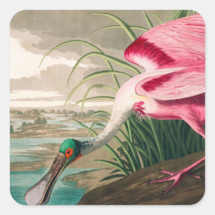 Roseate Spoonbill by John James Audubon Square Sticker