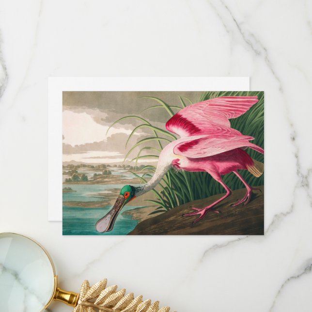 Roseate Spoonbill by John James Audubon Thank You Card (Front/Back In Situ)