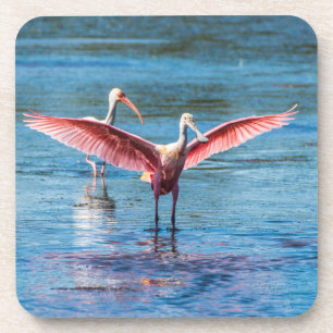 Roseate Spoonbill coasters w/cork back - set of 6