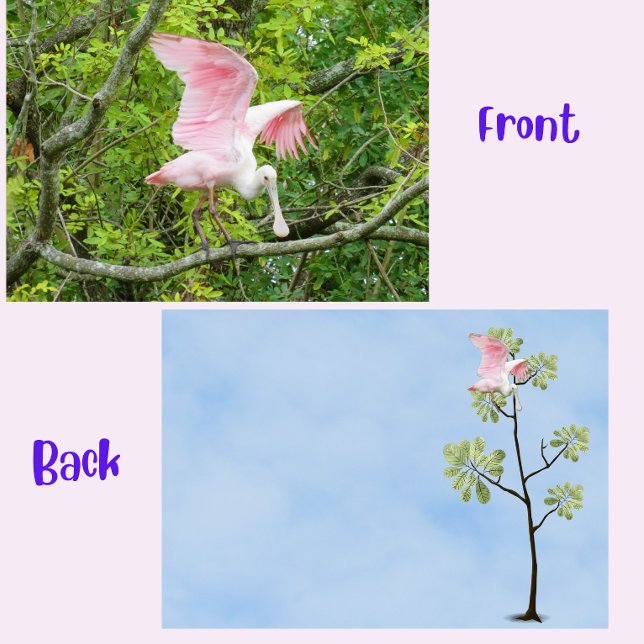 Roseate Spoonbill Flat Card (Roseate spoonbill flat card)