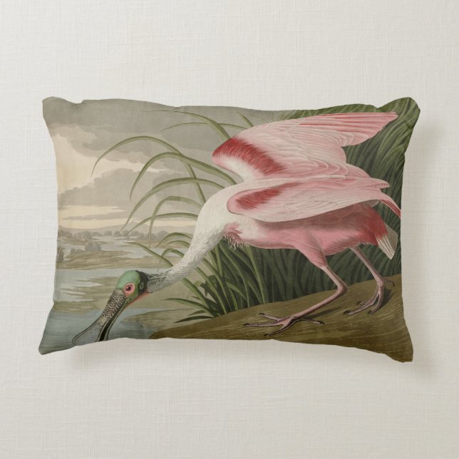 Roseate Spoonbill from Audubon's Birds of America Accent Pillow (Back)