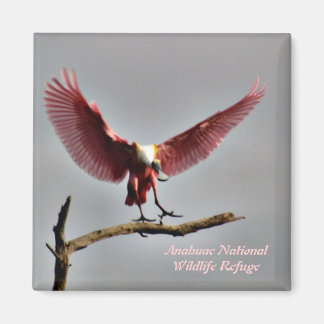 Roseate Spoonbill Magnet