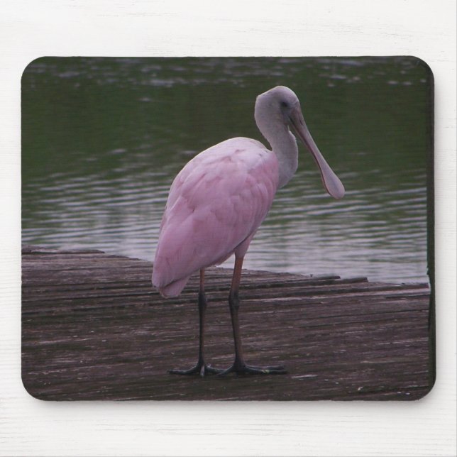 Roseate Spoonbill Mouse Pad (Front)