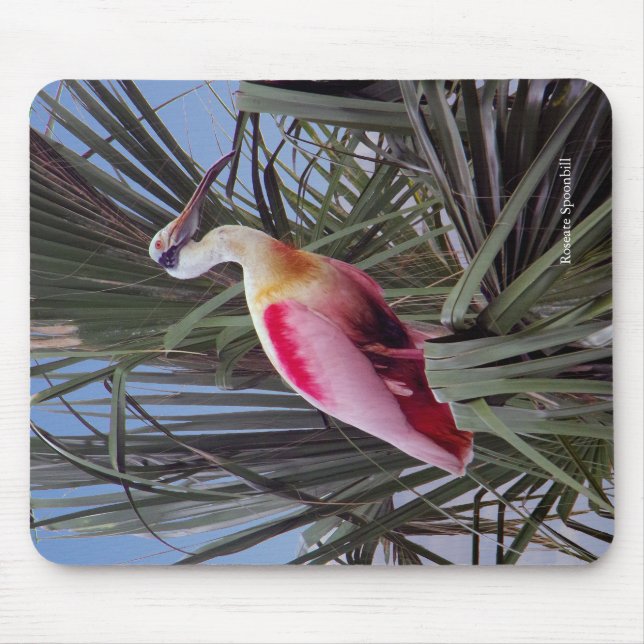Roseate Spoonbill mousepad (Front)