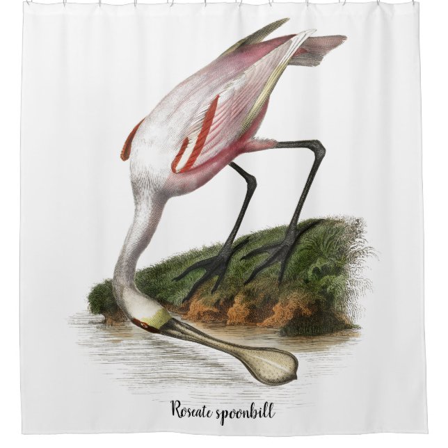 Roseate spoonbill painting  Small (Front)