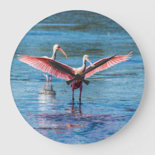 Roseate Spoonbill Round (Large) Wall Clock