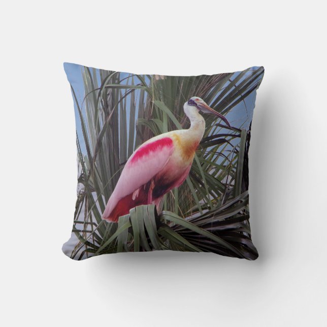 Roseate Spoonbill square pillow (Front)