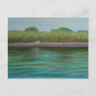 ROSEATE SPOONBILL SUR EAST CREEK Carte postale