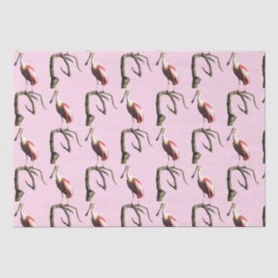 Roseate Spoonbill Tissue Paper