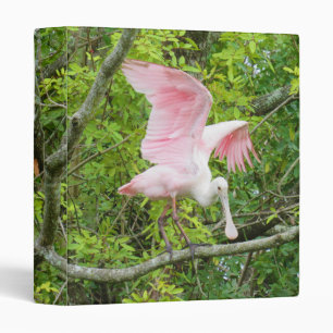 Roseate Spoonbill - Wading Bird - Binder
