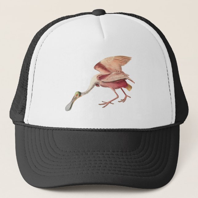 Roseate Spoonbill Wading Bird Illustration Art Trucker Hat (Front)