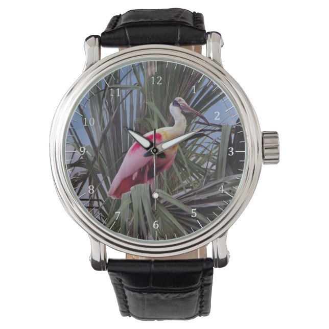 Roseate Spoonbill watch (Front)