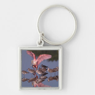 Roseate Spoonbill with Willets in shallow water Keychain