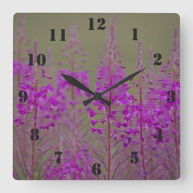Rosebay Willowherb Clock (Front)