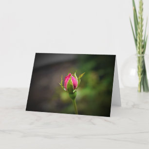 Rosebud, card