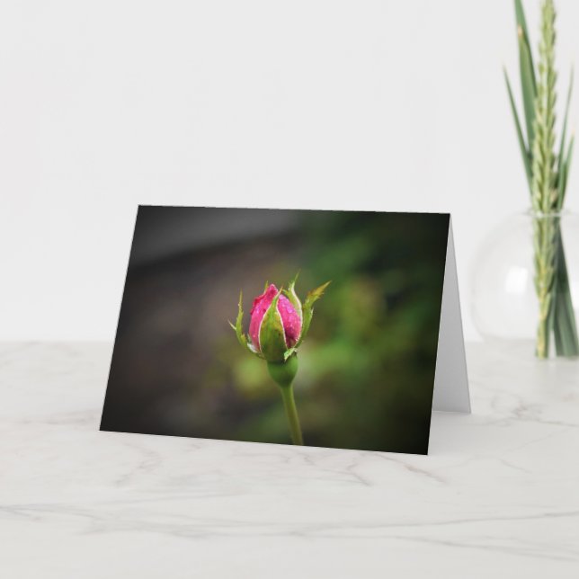 Rosebud, card (Front)