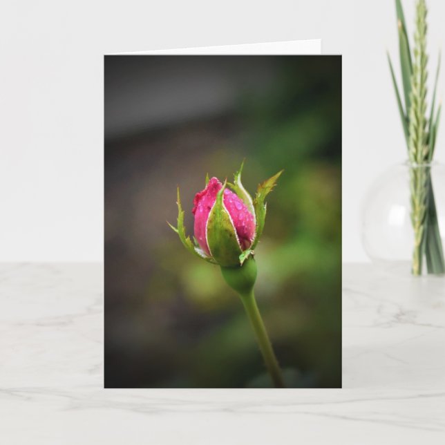 Rosebud, carte (Devant)