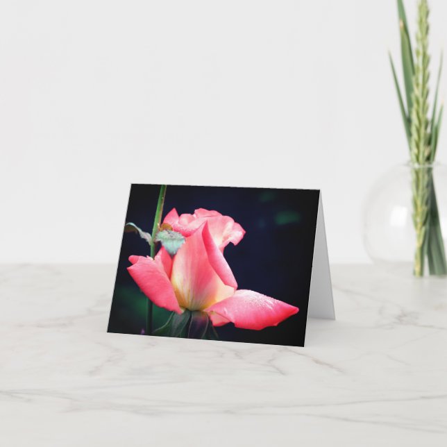 Rosebud Delight Flower Photography Note Card (Front)